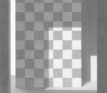graphite sur papier  17,2 x 15 cm 
