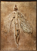 Ángel de Oro, 2009, mixed media on wood, 60x43 cm, steel frame