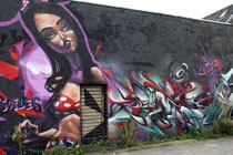 Sofles