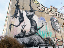 Roa