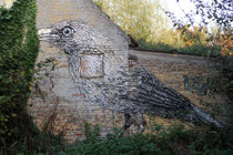 Roa