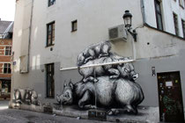 Roa