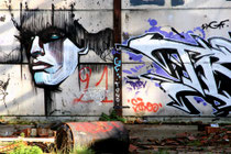 Steve Locatelli