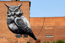 ROA