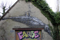 Roa