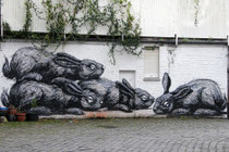 Roa