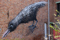 Roa