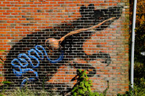 Roa