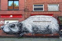 Roa