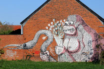 Roa