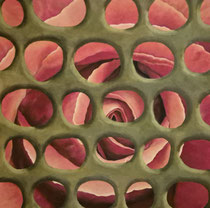 Gefangene Rose 100*100 cm