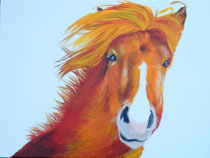 2014 "Kom ga mee". Acrylverf op linnen    60 x 80 cm.    