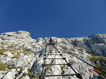 Das Paradestück des Klettersteiges die 60m lange Leiter Scala Pipan