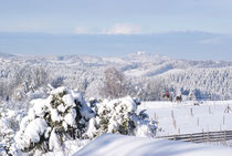 Wünschendorf Erzgebirge Winter 2012