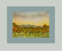 Nr.87/0   Aquarell auf  Fin Art  Papier 50x40 cm inkl. Karton - Passepartout  €  150,-