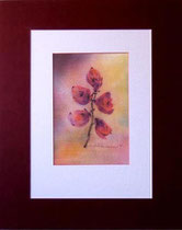 Nr.97/15  Aquarell auf  Fin Art  Papier 50x40  cm inkl. Karton - Passepartout  €  180.-  