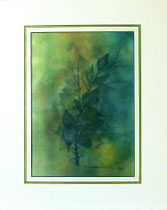 Nr.98/04  Aquarell auf  Fin Art Papier  50x40 cm inkl. Karton - Passepartout  €  180,-