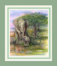 Nr,3/19  E.  Aquarell auf  Fin Art  Papier 50x50 cm inkl. Karton - Passepartout  € 280,-