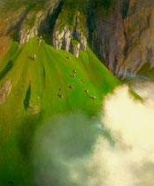 NEBEL IM STEILHANG, 2003, 100 cm x 120 cm, Eitempera und Öl auf Leinwand