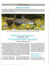 Paepke, Hans Joachim: Ictalurus nebulosus - zu Unrecht fast vergessen (Wels Jahrbuch 1993, S. 35-40)