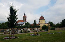 Gestaltung für die Stadt Ellingen