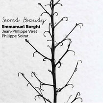 Emmanuel Borghi (piano), Jean-Philippe Viret (contrebasse), Philippe Soirat - 2018