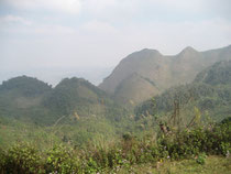 Der Weg von Laos nach Vietnam fuehrt ca. 8 Stunden durch die Berge. Wir sitzen zu weit hinten. Mir ist uebel. Sonst ist es huebsch.