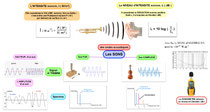 Carte mentale acoustique