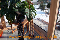 Wintergarten bei Legelshurst