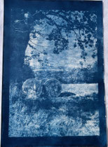 Cyanotypie 33 x 48 cm CHF 570 ohne Rahmen/ mit PP und Rahmen CHF 640 Piemont