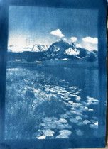 Cyanotypie 24 x 33 cm mit PP und Rahmen 37 x 53 cm CHF 480