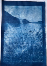Cyanotypie 33 x 48 cm CHF 570 ohne Rahmen/ mit PP und Rahmen CHF 640 Ortasee