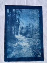 Cyanotypie 33 x 48 cm CHF 570 ohne Rahmen/ mit PP und Rahmen CHF 640 Schaan