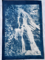 Cyanotypie 33 x 48 cm CHF 570 ohne Rahmen/ mit PP und Rahmen CHF 640 Piemont