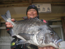 １月４日　野田さん　ガバチヌ５１．６㎝を頭に５匹