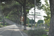 CA' SAVIO