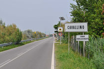 CAVALLINO