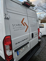 Boxer für Umzüge
