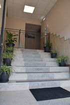 Ingresso