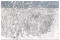 by Anna Metz, "Rijp",Ets, gemenged druk techniek, 9/15 (Gallery collection))