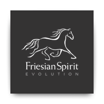 friesianspirit.com 