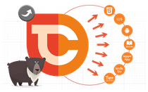 Erstellung der Grafik zur Veranschaulichung der verschiedenen Exportformate von TigerCreate; © TigerCreate
