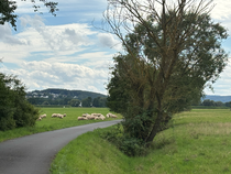 Eine typische Landschaft...