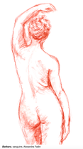 Féminité 2, sanguine, collection particulière