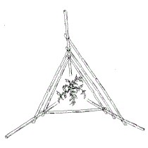 Trichter-Rankgerüst für Wildtomaten - Göttinger System (Draufsicht)