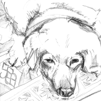 BIRKA | Bleistiftzeichnung | pencil drawing