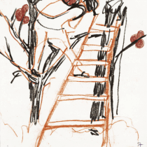 ELSTAR | Skizze | sketch | 2010