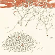 HERBST | FALL | Bleistift und Kreide | pencil and crayon | 2010