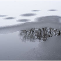 Regina Schneider Eiszeit 3 2019