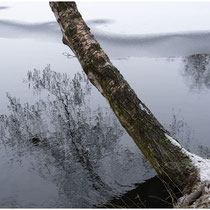 Regina Schneider Eiszeit 2 2019